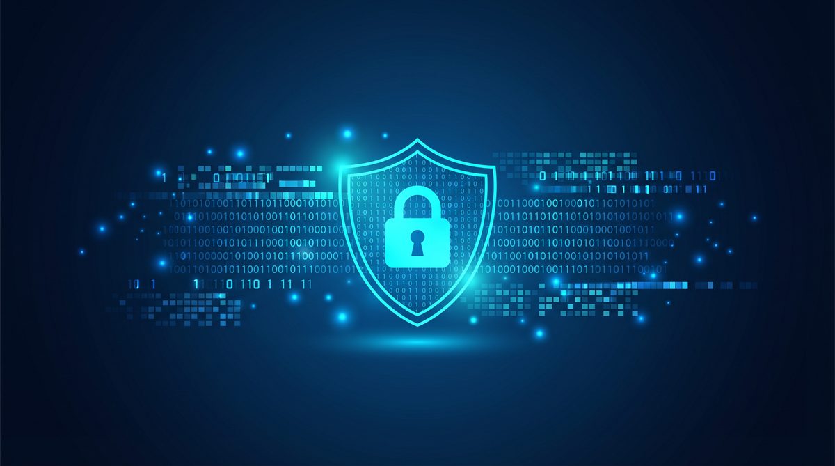 椰树加速器隐私安全保护